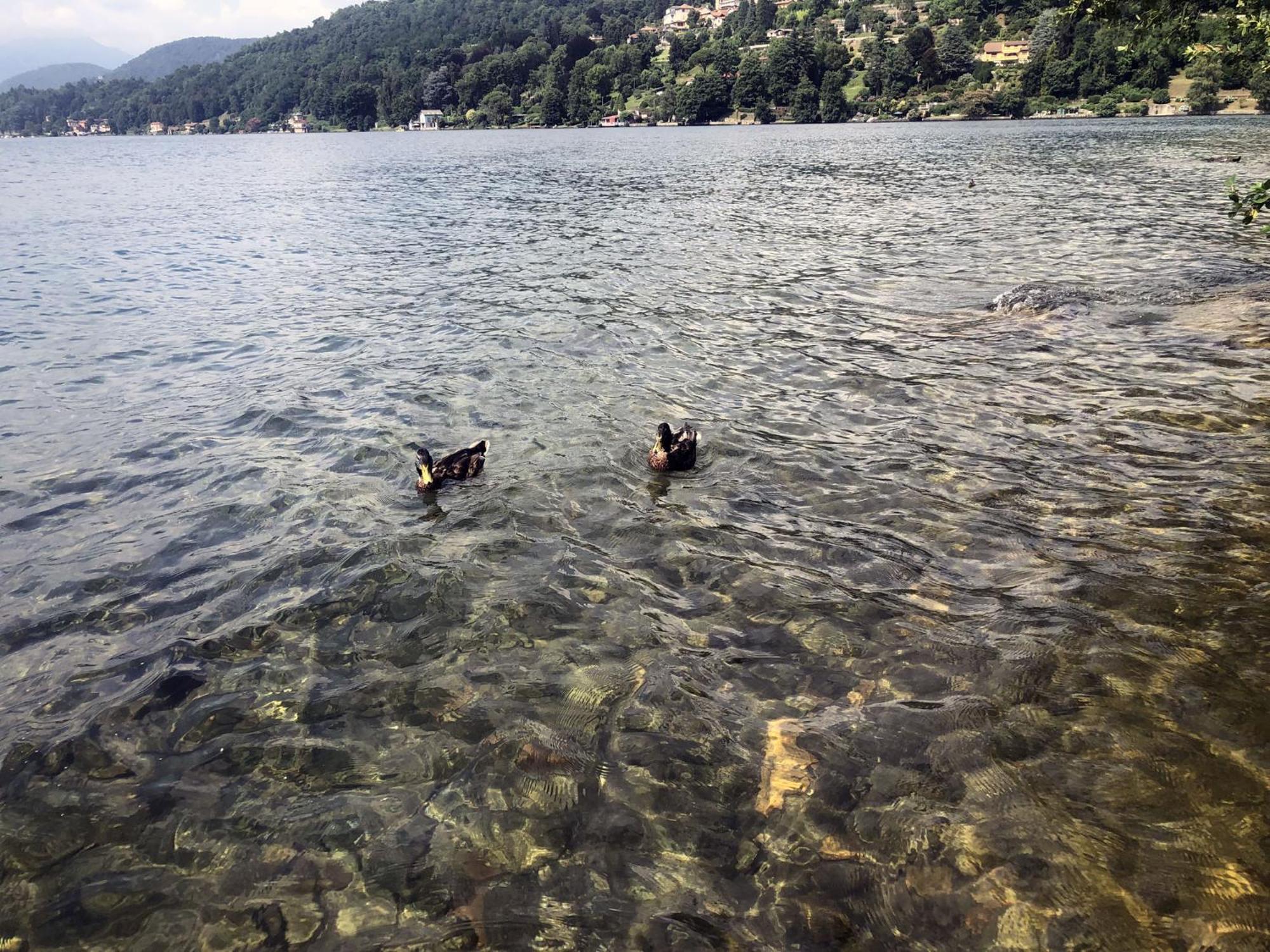 Appartamento Vacanze Al Lago Orta San Giulio Luaran gambar