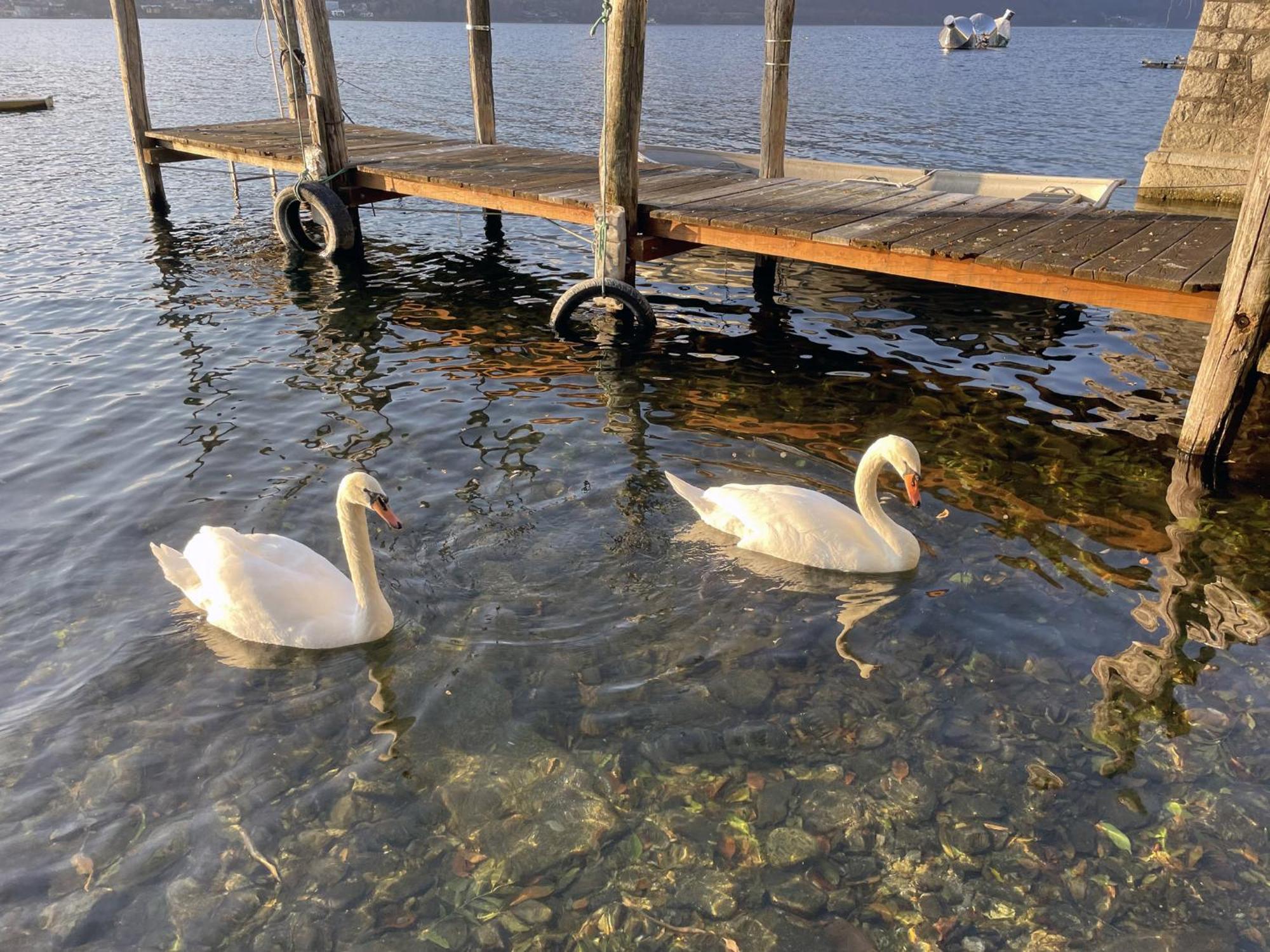 Appartamento Vacanze Al Lago Orta San Giulio Luaran gambar